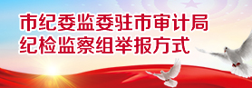 市纪委监委驻市审计局 纪检监察组举报方式